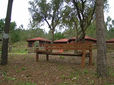 Parque Ambiental do Alambre – Setúbal Sensibilizar para a preservação da natureza