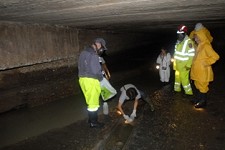 Ribeira do Livramento - Setúbal “Não existe nenhuma contaminação porque não foram detectados danos no meio ambiente”
