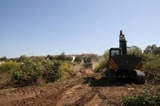 Protocolo com Exército em Setúbal Desmatação e limpeza de linhas de água da várzea de Setúbal