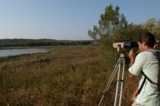 Em Sesimbra Passeio com observação de aves à Lagoa Pequena