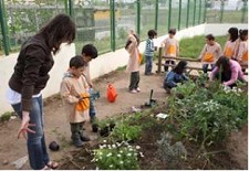 NO SEIXAL Jardins e Horto Pedagógicos promovem a agricultura biológica Envolvidas 11 Escolas Básicas do 1.º Ciclo e 6 Jardins-de-Infância