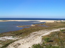 SANTIAGO DO CACÉM A Reserva faz parte da lista de locais para o concurso “7 Maravilhas Naturais de Portugal”