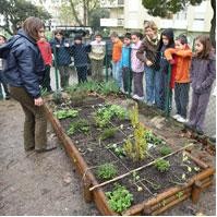 Seixal Formação de agricultura biológica para professores