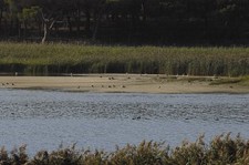 SESIMBRA Primeira Aula Natura na Lagoa de Albufeira