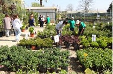 Feira das Plantas no Seixal Ajuda instituições de carácter social do concelho