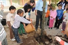Câmara Municipal de Santiago do Cacém Promove plantação de árvores no dia 19