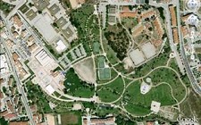No Barreiro Plante uma Árvore no Parque da Cidade