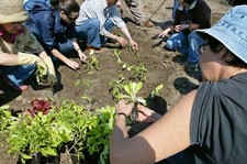 Inscrições abertas na Moita para Mini-Curso de Tempos Livres “Mãos à Horta”