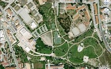 Plante uma Árvore no Parque da Cidade do Barreiro Assinalar o Ano Internacional da Biodiversidade através da plantação de árvores em espaços públicos