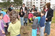 Santiago do Cacém Promoveu hoje plantação de arvores e arbustos de espécies autóctones