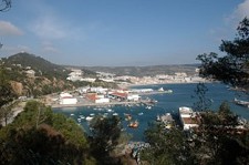 Limpar Portugal Sesimbra é o único ponto do país onde a campanha vai alargar-se ao fundo do mar