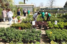Feira das Plantas - SEIXAL Ajuda Cooperativa Nacional de Apoio a Deficientes