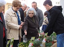 Festa da Primavera em Abrantes Abre com distribuição de vasos com amores-perfeitos