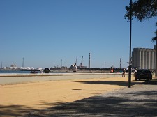 Clube Amadores de Pesca do Barreiro Acção Conjunta de Limpeza da Avª. da Praia