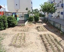 Projecto pedagógico em Setúbal Crianças criam jardim mediterrânico