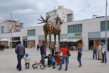 PARQUES VIVOS NO BARREIRO Iniciativas de fim-de-semana