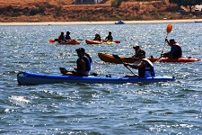5ª Subida do Rio Coina - Barreiro Conhecer para proteger