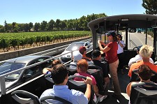 Circuito turístico em autocarro descoberto - Setúbal Percorre todos os sábados de Agosto a zona interior do maciço da Arrábida até Palmela