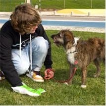 Dia Mundial do Animal no Seixal Autarquia lança campanha de sensibilização sobre dejectos caninos no espaço público