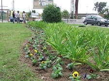 Jardins e Espaços Verdes do Concelho - Barreiro FREGUESIAS DO LAVRADIO E DO ALTO DO SEIXALINHO