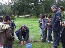 Dia da Floresta Autóctone no Barreiro Alunos plantaram 24 sobreiros na Mata da Machada
