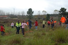 Bosques do Centenário em Sesimbra Crianças e idosos plantaram cem árvores na Quinta do Conde