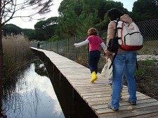 Conservados e recuperados Ecossistemas na Lagoa Pequena em Sesimbra Compensação e redução da Pegada Ecológica da SIMARSUL com resultados à vista
