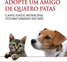 Campanhas de adopção de animais em 2011 no Seixal no último sábado de cada mês