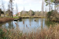 Vila Nova de Santo André em Santiago do Cacém Rede Ciclável e Requalificação do Parque Central arrancam em Fevereiro