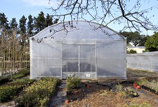 Estufa instalada nos viveiros das Amoreiras em Setúbal Aumenta a produção de plantas de espécies sensíveis ao frio
