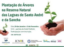 Santiago do Cacém Plantação de Árvores na Reserva Natural das Lagoas de Santo André e da Sancha.