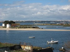 PROT-AML define Barreiro como uma centralidade Estuário do Coina e Alburrica como «património ambiental»