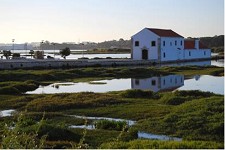 Visita comentada no Seixal Ao Moinho de Maré e sua envolvente natural