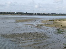 Coastwatch – Maravilhas e Riscos do Litoral no Barreiro Maravilhas e riscos do litoral é o tema escolhido pelo Projeto Coastwatch para este ano