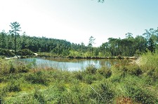 No Barreiro Campo de Férias da Páscoa na Mata da Machada