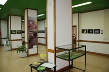 Na Biblioteca Municipal do Barreiro Exposição com fotografias integralmente captadas na Mata da Machada