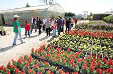 Feira das Plantas ajuda Cercisa do Seixal e Almada nos dias 2 e 9 de Abril