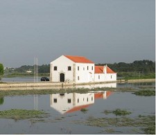 Seixal comemora Dia Nacional dos Moinhos