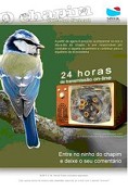 O Chapim Vem ao Seixal para acompanhar on-line