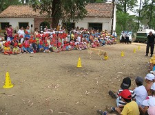 Encontro ambiental em Alcácer do Sal Sensibiliza mais pequenos para poupar água e preservar o ambiente