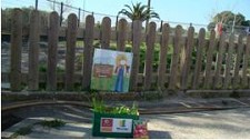 FORUM MONTIJO APADRINHA PROJECTO HORTAS ESCOLARES