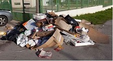 Centro Municipal de Educação Ambiental do Seixal Promove conversas ao fim da tarde