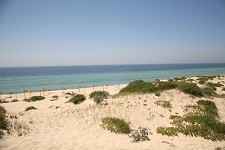 Praias de Grândola com Qualidade de Ouro pela Quercus