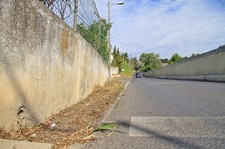 Plano Municipal de Desmatações em Setúbal Melhoria da imagem urbana e a diminuição do risco de insalubridade pública
