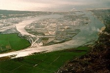 Investigadores de Coimbra avaliam, pela primeira vez, a contaminação por dioxinas da fauna e flora marinha costeira