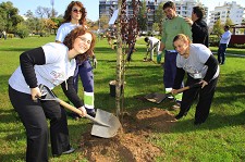 Jardim da Algodeia em Setúbal Plantadas meia centena de árvores de diferentes espécies