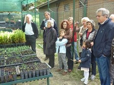 Lions Clube do Seixal Plantaram 300 pinheiros na Mata dos Medos e na Fonte da Telha
