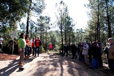 No Dia da Floresta Autóctone Toyota planta 3.000 árvores em Loures e apresenta estudo IST/Occam sobre mobilidade sustentável
