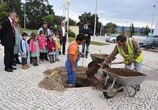 Grupo Auchan promove no Barreiro Acção de sustentabilidade florestal