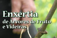 Oficina Enxertia de Árvores de Fruto e Videiras em Sesimbra